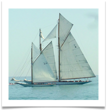 [4] My kinda boat - Rob Sparkes